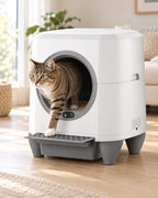 Chat tigré qui sort de la litière automatique XXL 80 L blanche et grise