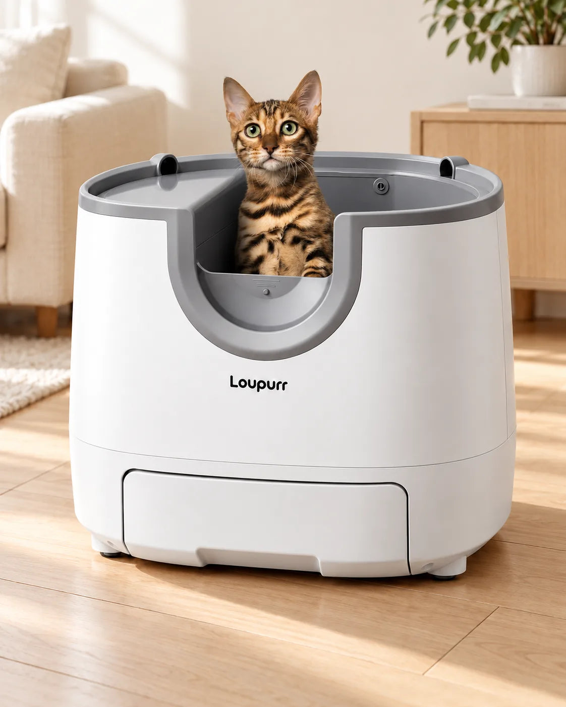 Chat dans la litière automatique blanche et grise à toit ouvert, image générée